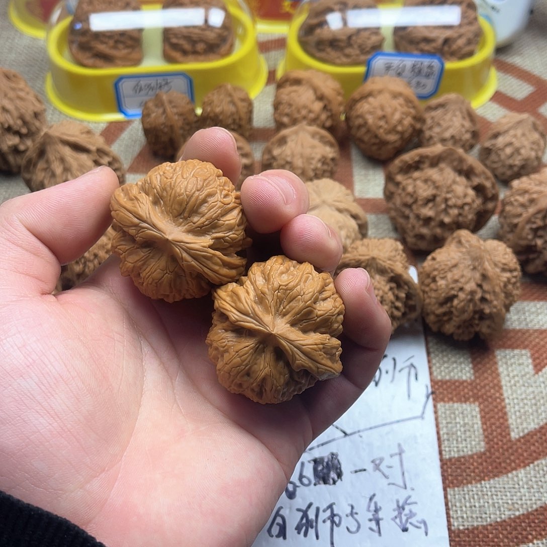 核桃把件45尺全品红锦鲤