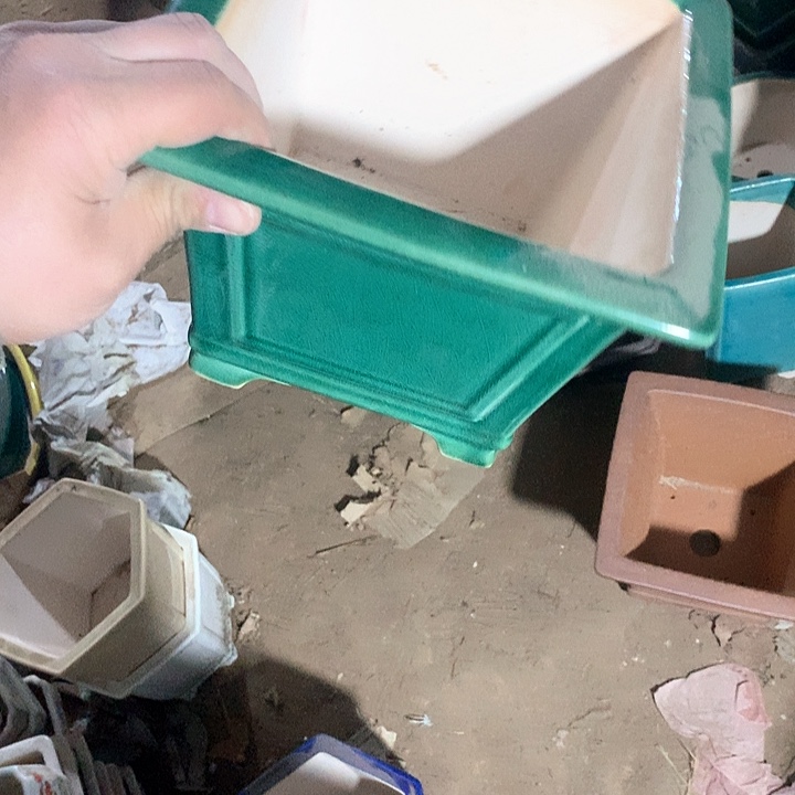 紫砂我要努力去实现了