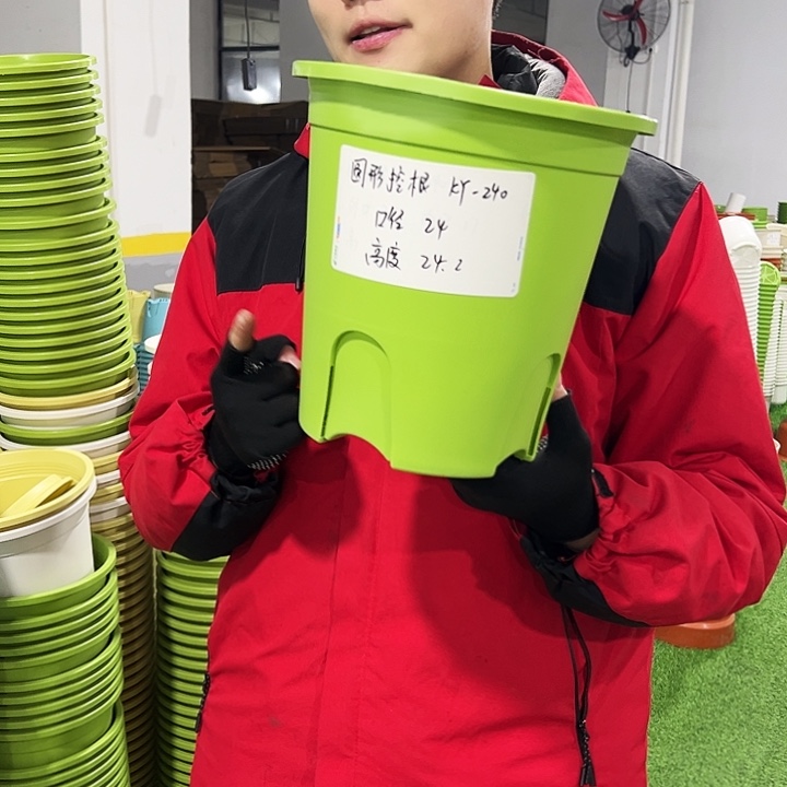 正品圆控口24高24果绿色8只无托