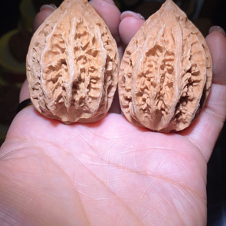 文玩核桃把件东北野生楸子小美5 6