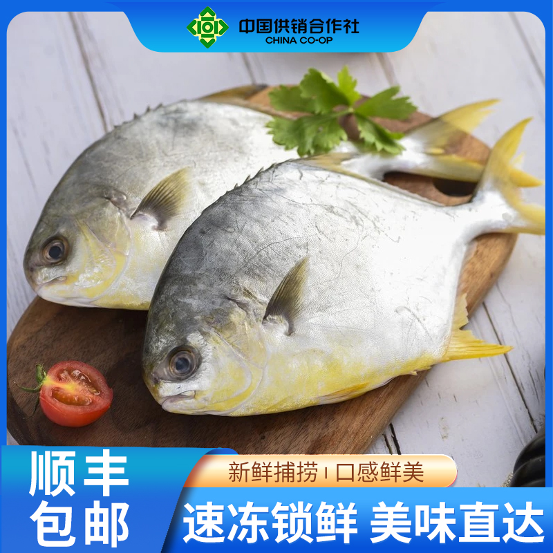 【顺丰冷链】5条装深海金鲳鱼新鲜海鲜速冻锁鲜