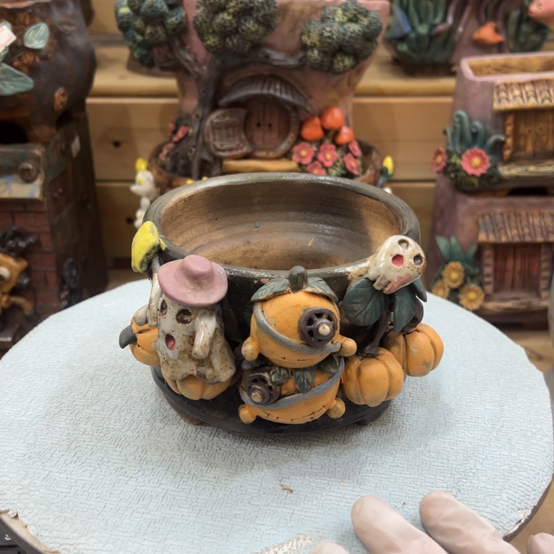 红陶陶然多肉花盆特价福利