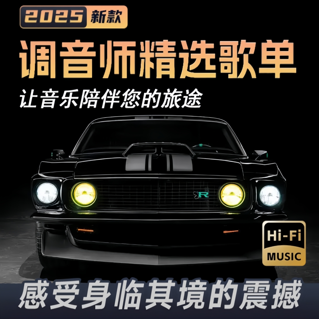 【2025猪猪专属】车载音乐U盘 抖音流行DJ经典怀旧新老歌曲热门精选