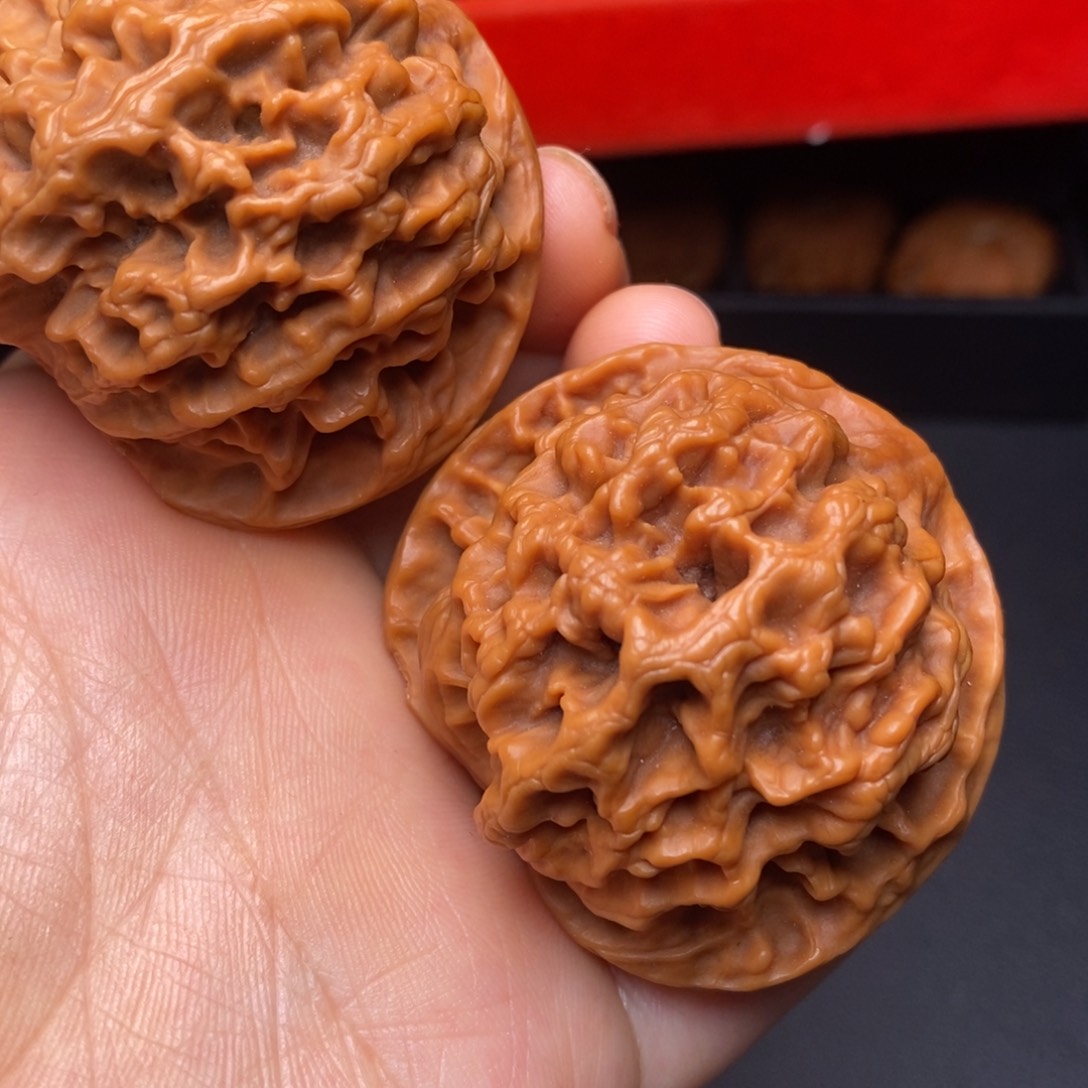 文玩核桃把件秦岭野生核桃