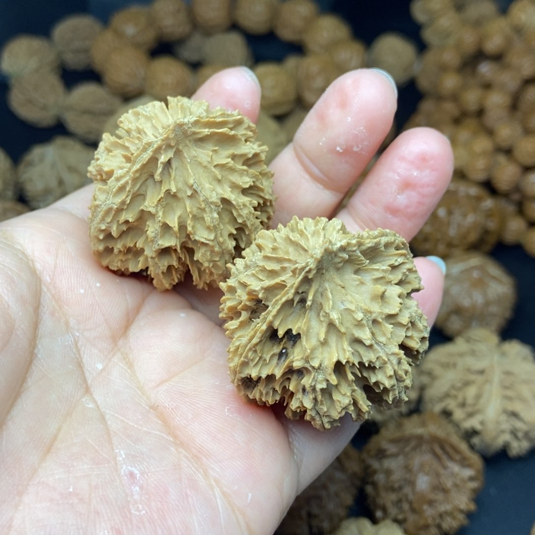 文玩核桃把件寂*虎秦岭核桃刺39