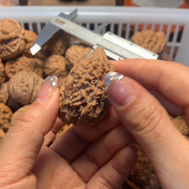 陪***、文玩核桃把件核桃