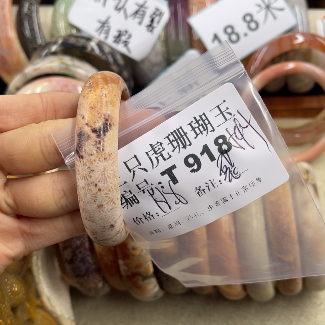 B***_硅化珊瑚（珊瑚玉）未镶嵌h