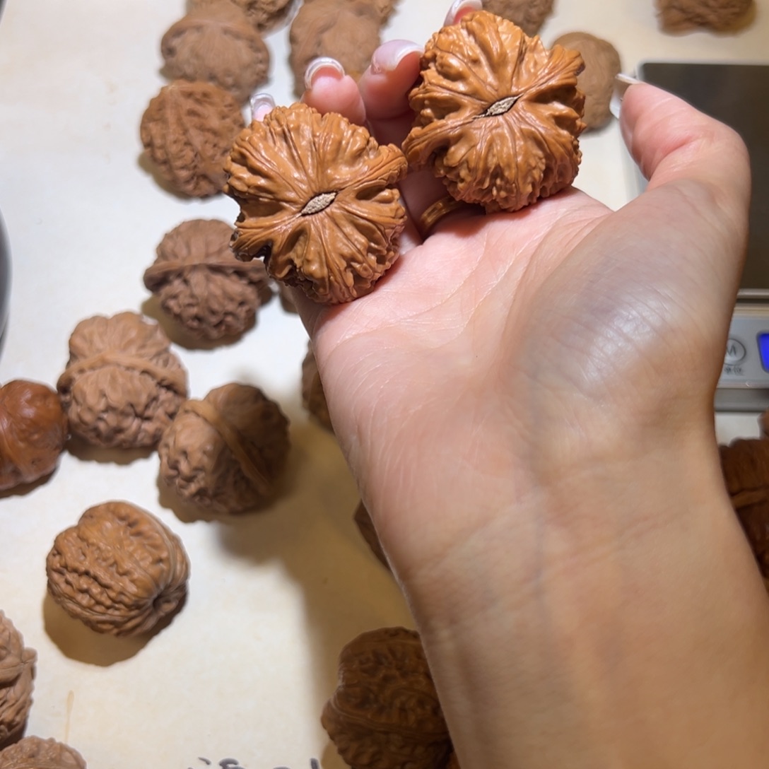 龙核堂核桃福利42白狮子