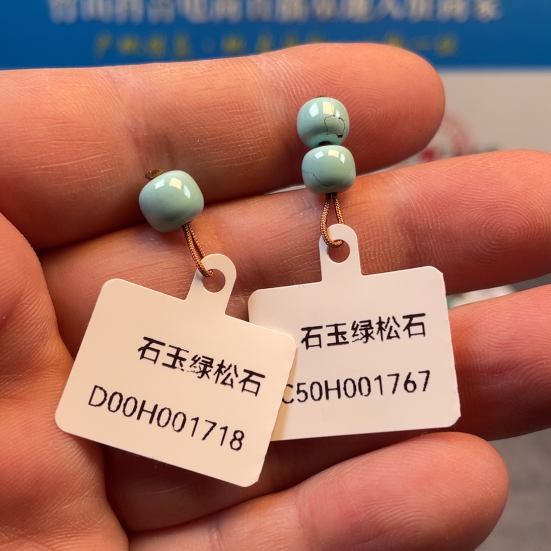 绿松石未镶嵌颈饰