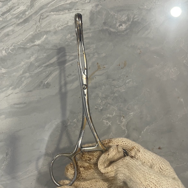 【71B-13】不锈钢圆圈钳