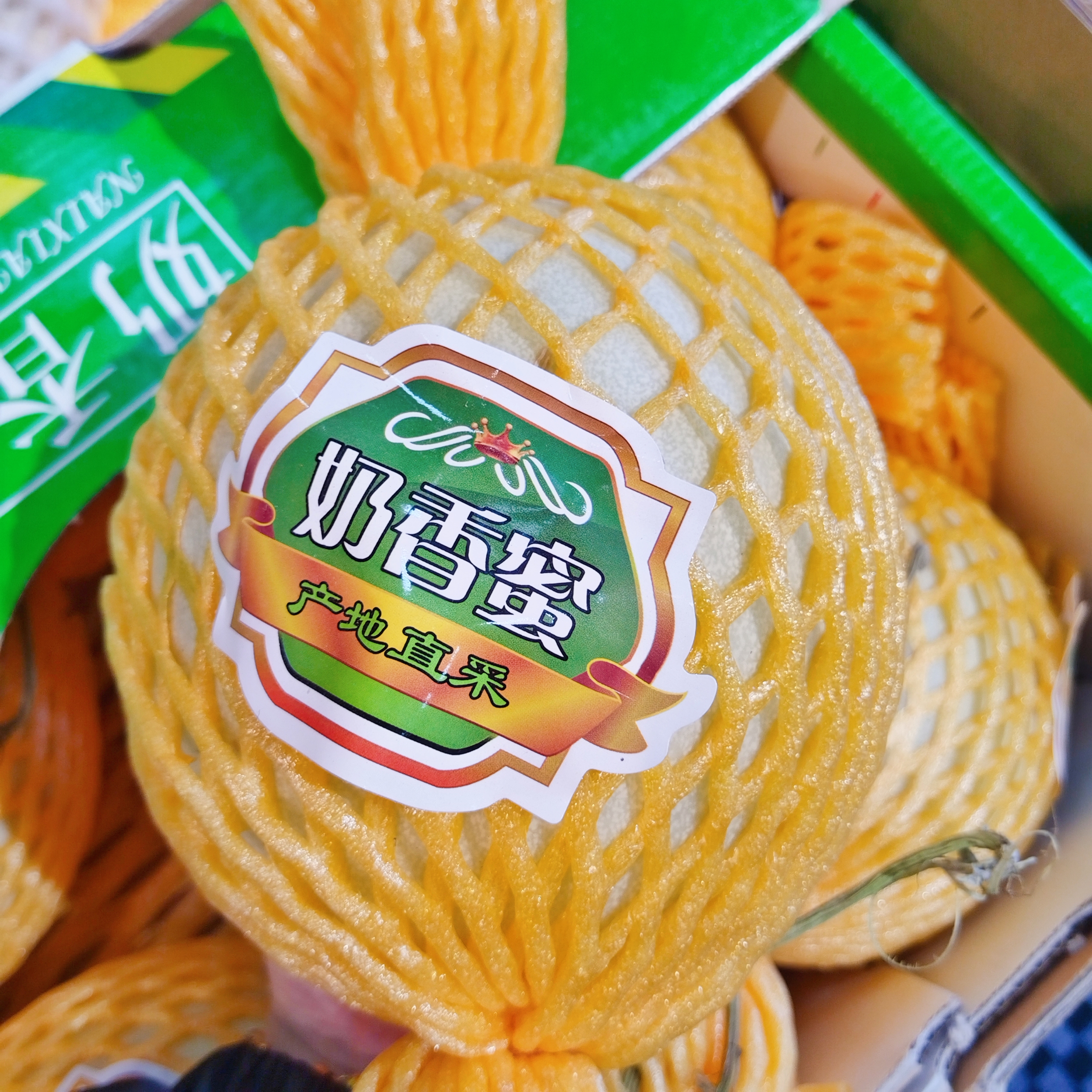 海南奶香蜜瓜1个（可切盒）