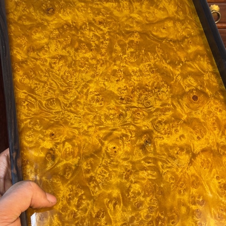 木黄金樟留疤超大托盘