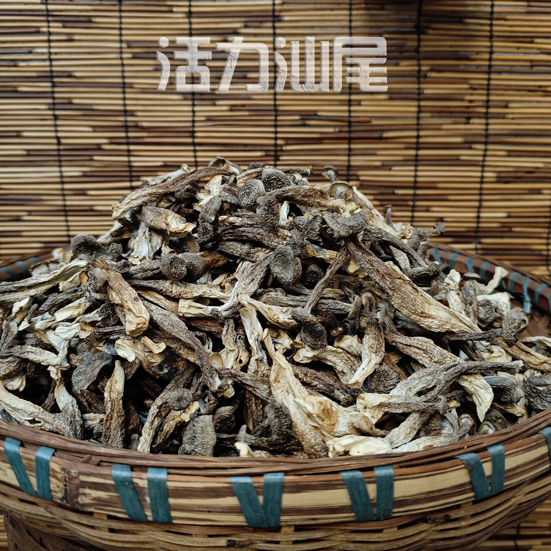 鹿茸菇  新鲜干货