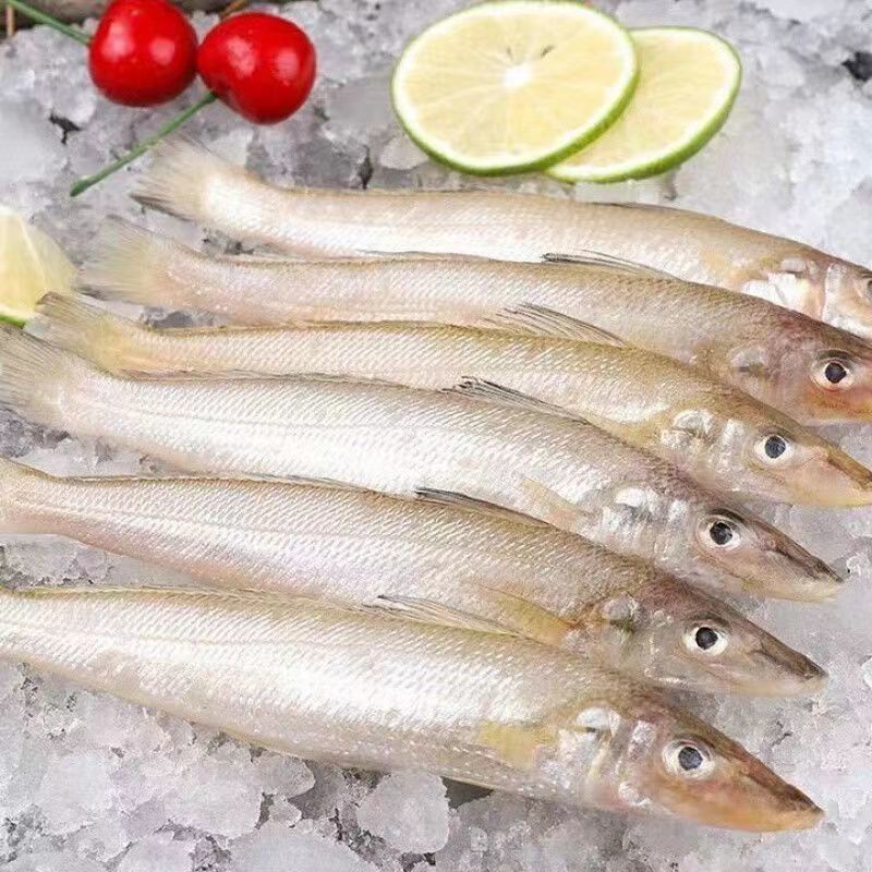 野生沙丁鱼沙尖鱼新鲜海捕速冻锁鲜浅海天然美味低脂高蛋白