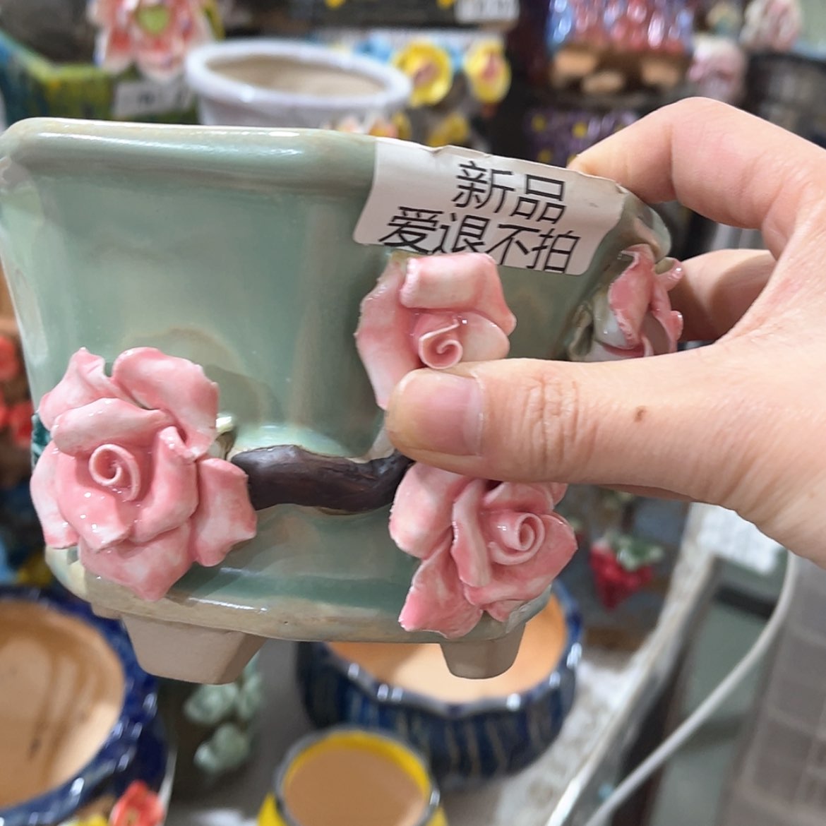 【闪购商品】红陶福利