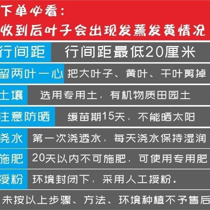 专用肥福利分包装