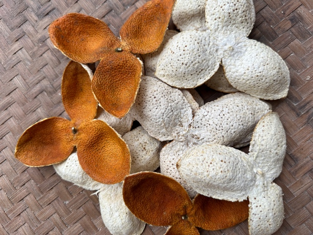 2024年浦北老树茶枝柑冬后大红（树龄24年）