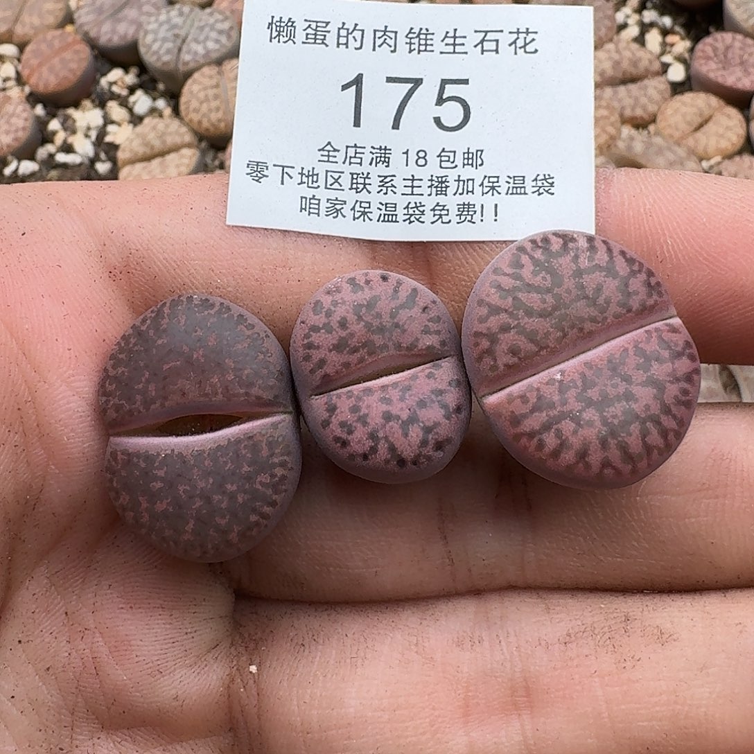 175满18包邮保温袋联系客服