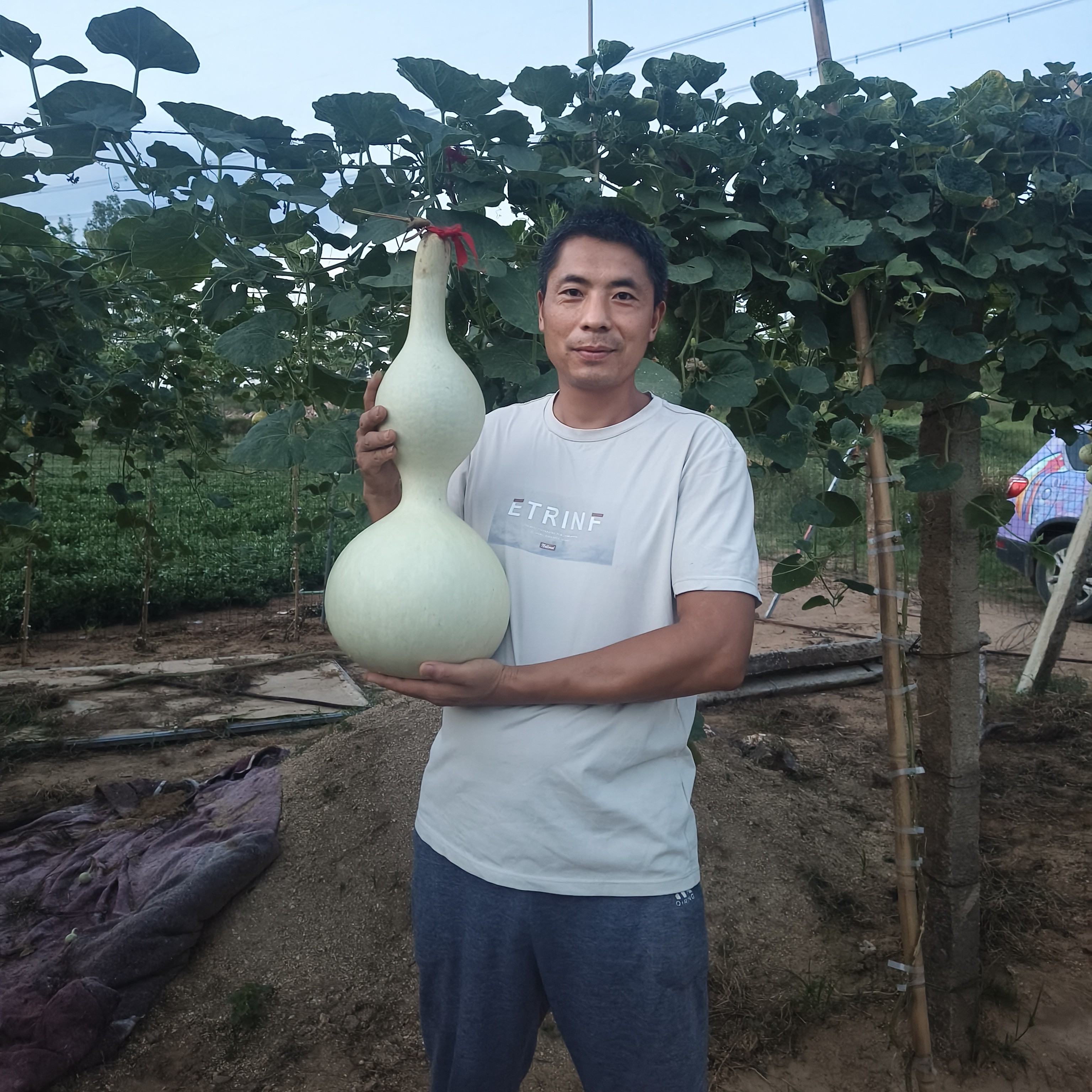 万春葫芦专用链接