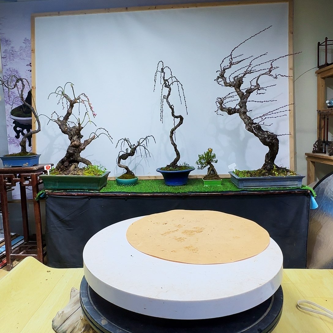 美****无花朵发聪聪b爸爸帮你呢