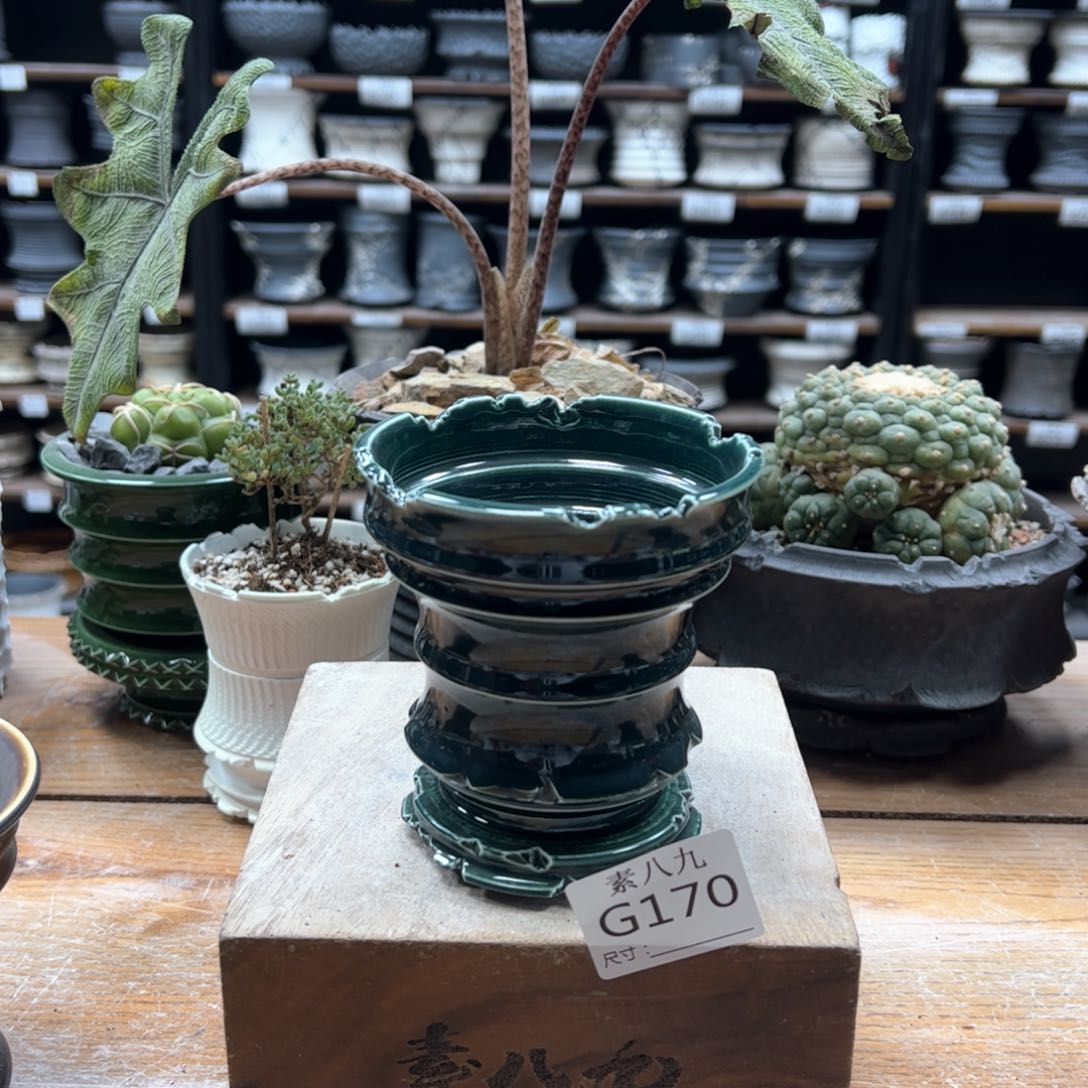 素八九陶瓷内口9高10.5