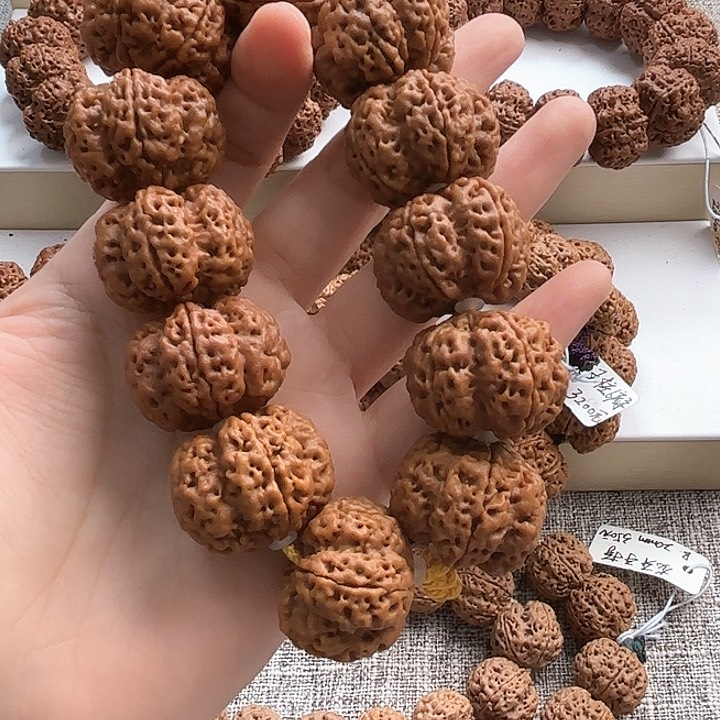 吊坠金刚菩提#****涛古龙A