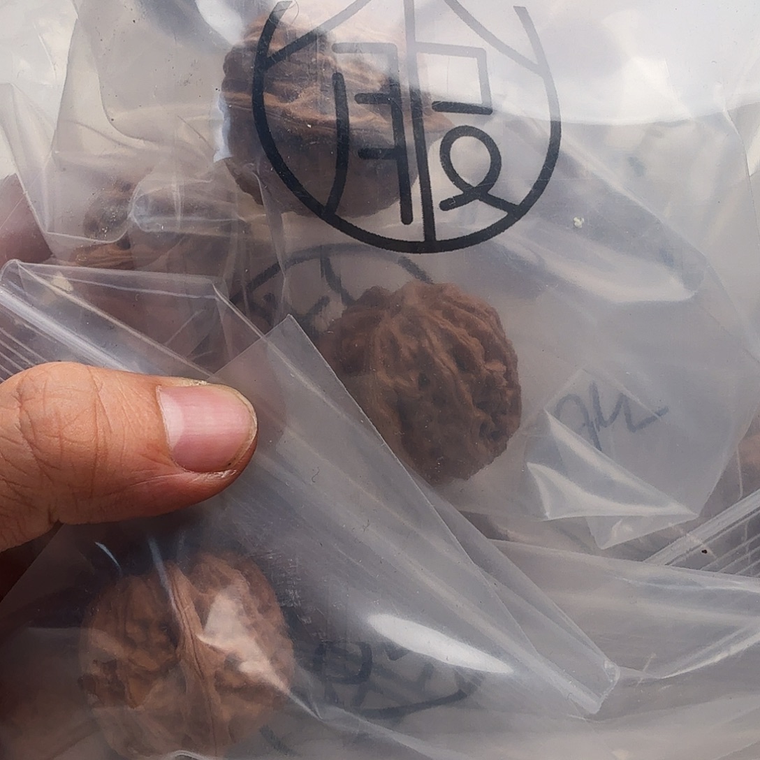 吊坠柏香籽/百香籽19