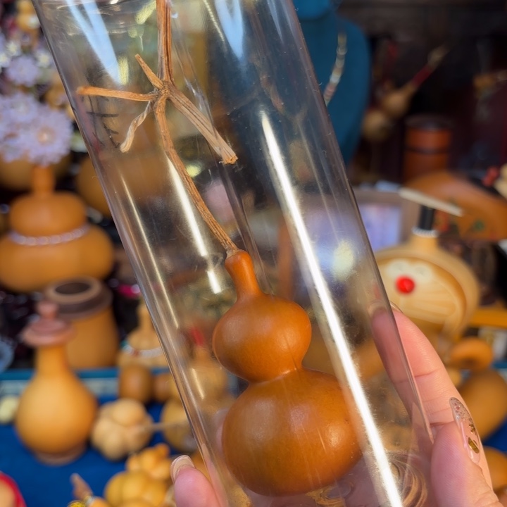 再****钟我们的生活也是如此的丰富多彩