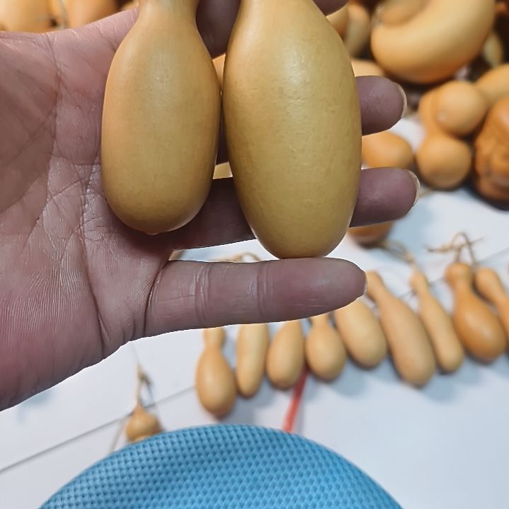 五***子瓶子瓶子瓶子瓶子