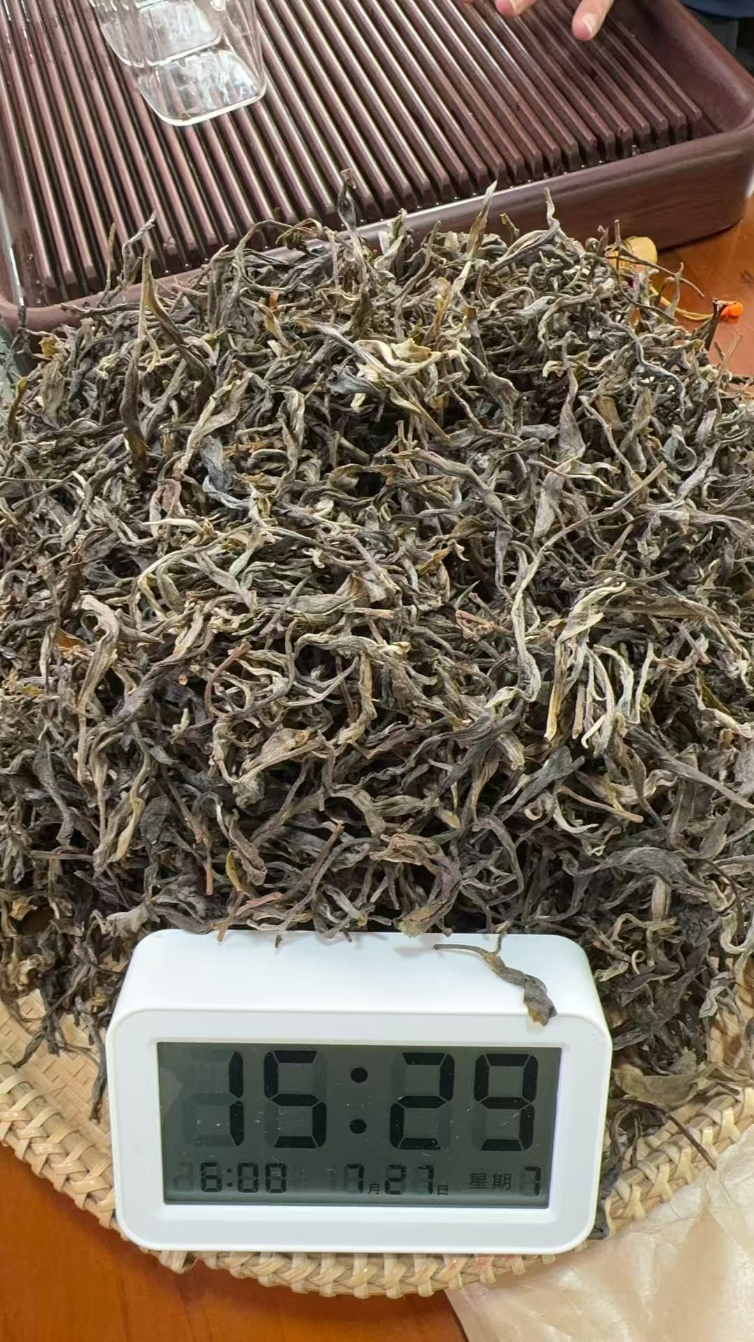 老吴严选-（515）2025年【春】下磨烈绿水塘单株普洱生茶散茶 7-27