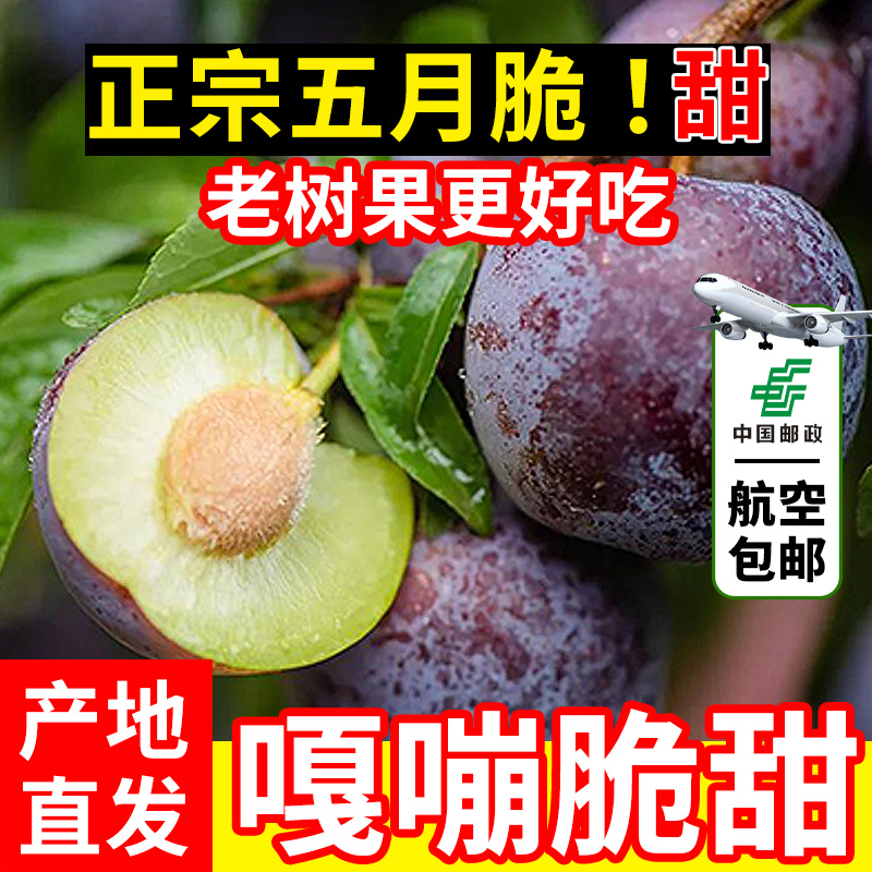 A正宗云南5月脆酸甜脆红李子脱骨李半边红李新鲜水果头茬包邮