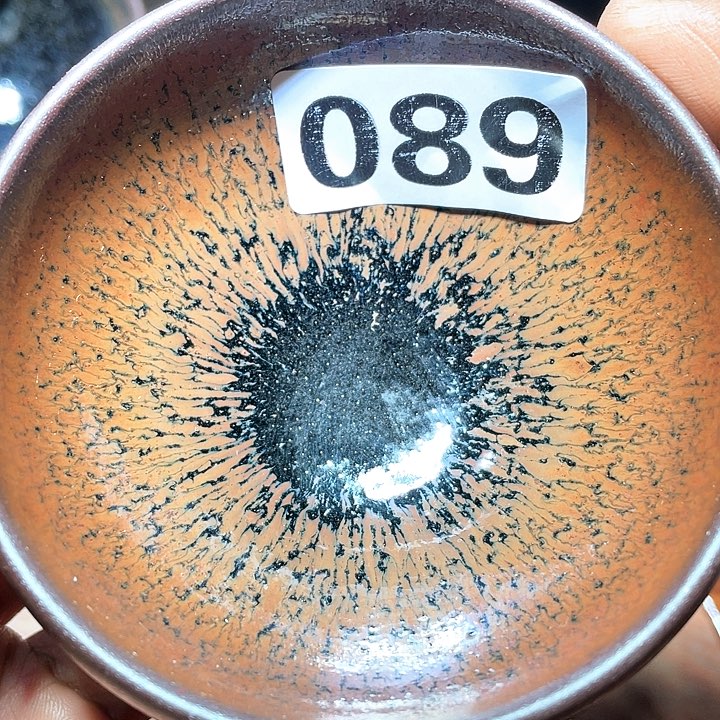 茶盏参加过一个国际会议或089