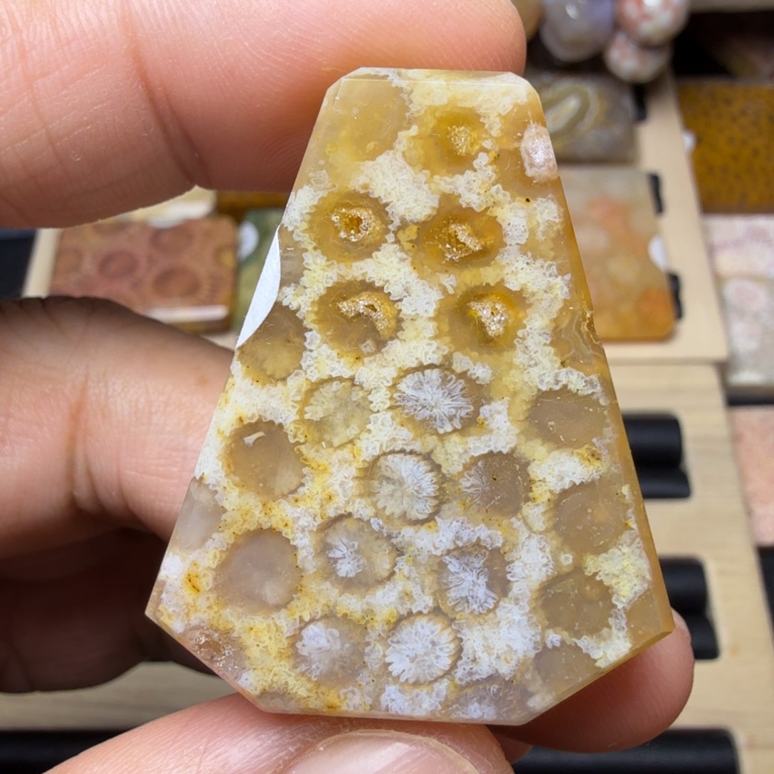 硅化玉未镶嵌纯天然色有机玉石保真色