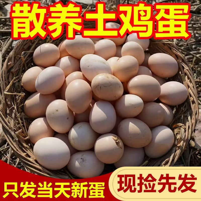  正宗农家散养土鸡蛋新鲜蛋绿色健康老人儿童辅食