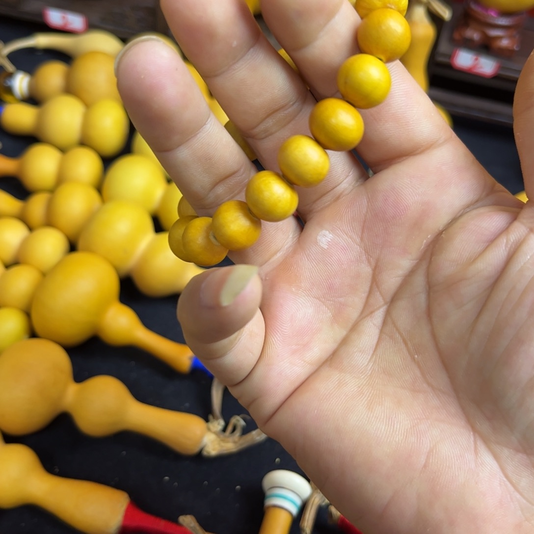 G***Z葫芦等各种各样品种