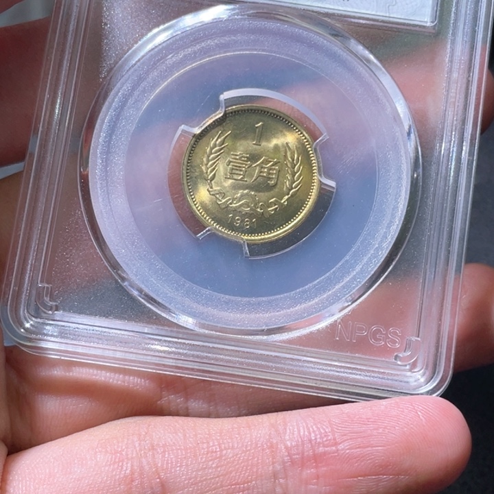 金属豪豪豪豪豪豪豪2547
