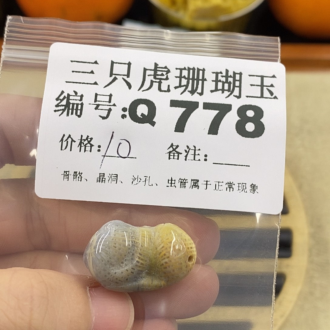 硅化珊瑚（珊瑚玉）1未镶嵌a****3