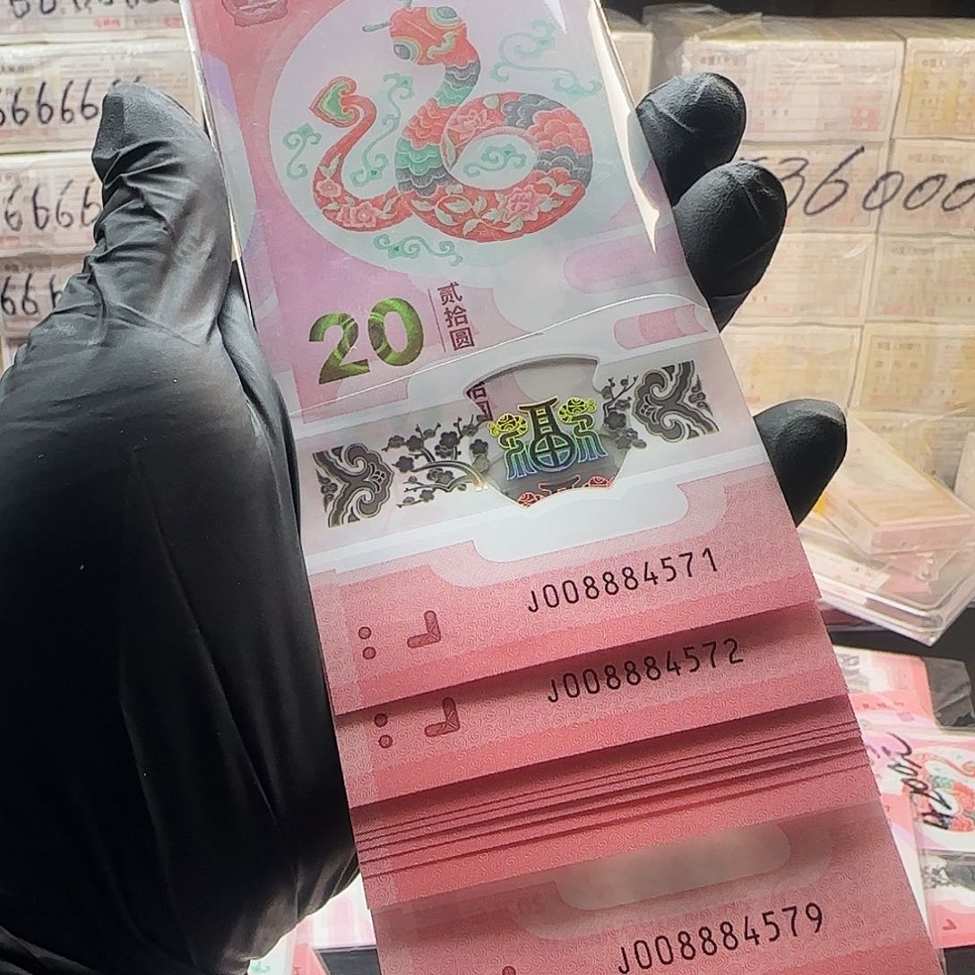 塑料蛇钞标十不评级008884571