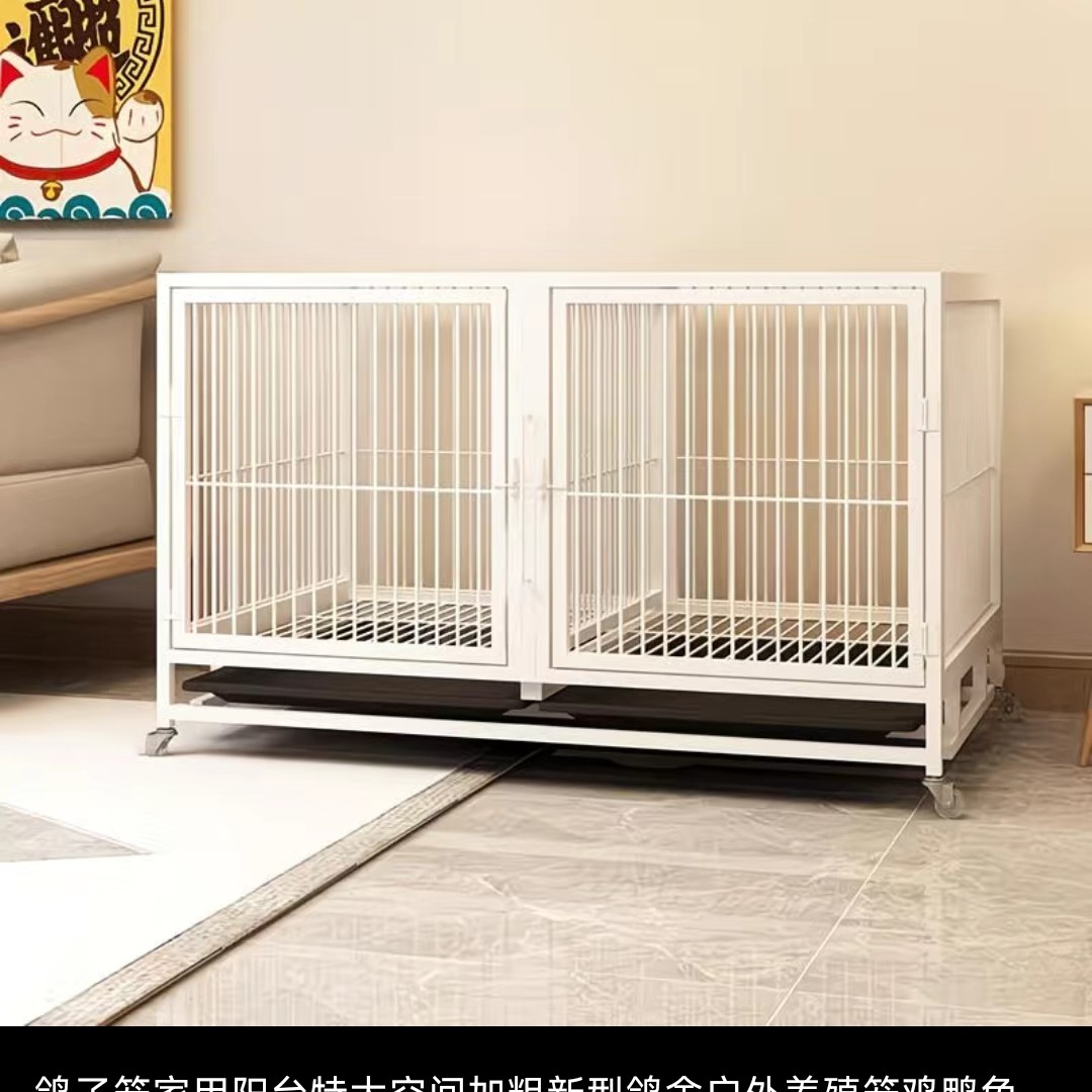 信鸽塑料放飞笼训放笼报道笼集鸽笼训鸽笼