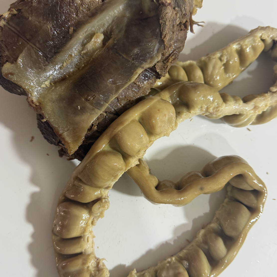 驴肉 驴肉临时单 主播手里整块的拍