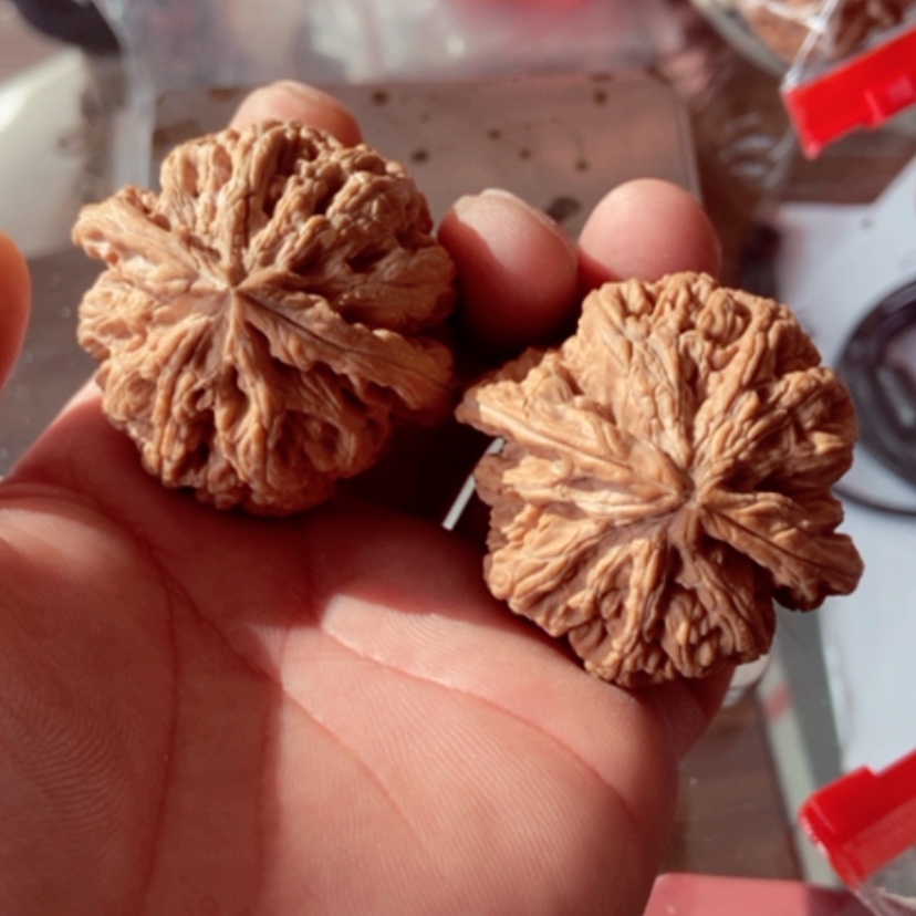 【闪购商品】C*l47尺寸有磕碰大粗筋