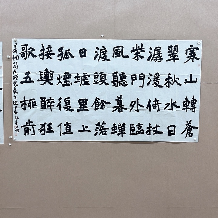 书法谢康雷 98*180㎝安徽  长丰