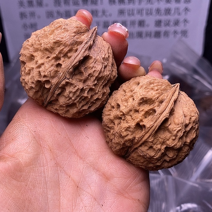 核桃云南野生铁核桃191号45mm