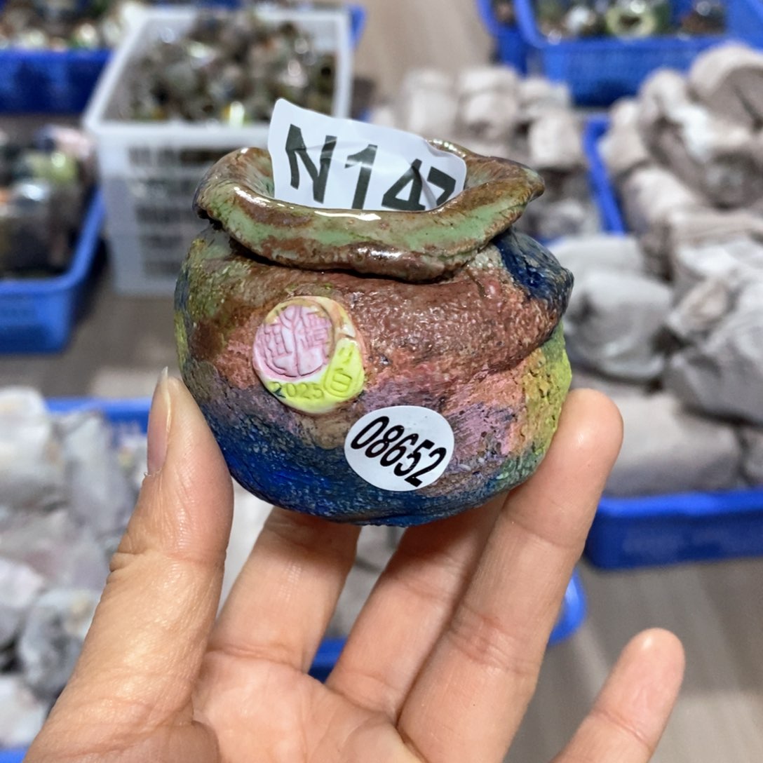 花盆拍3送一个小礼物