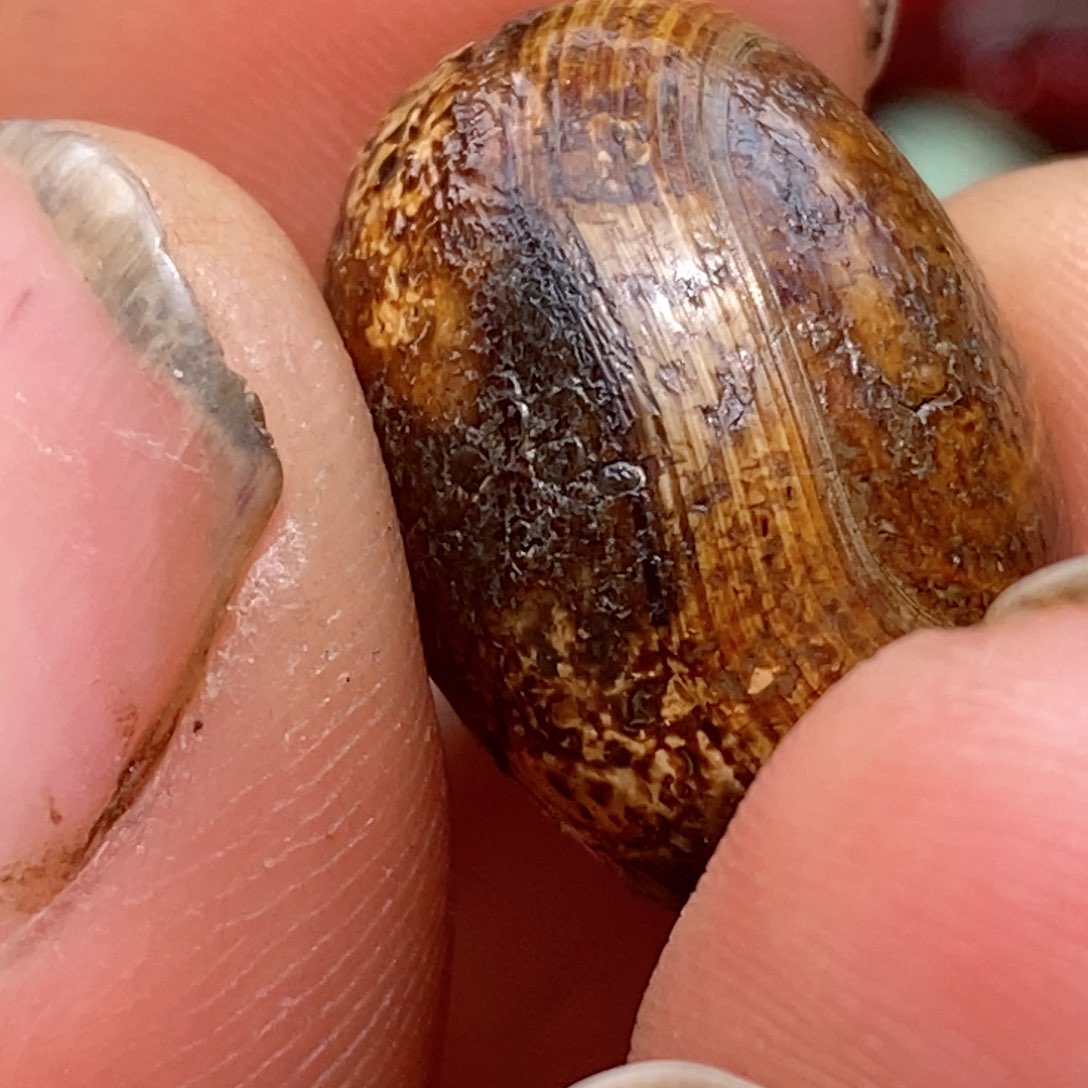 未镶嵌珠子玛瑙/玉髓