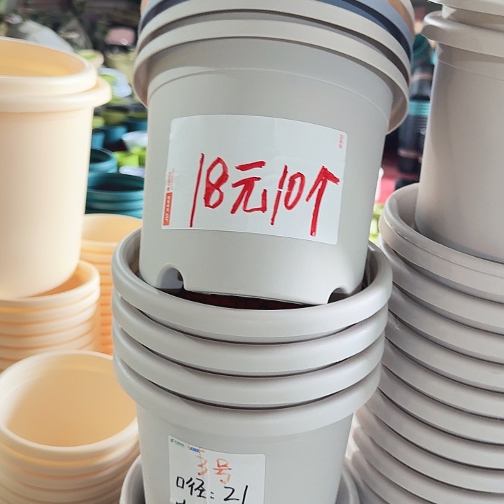 四季3#口径21灰白10个无托