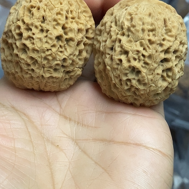 把件文玩核桃云南铁核桃基地12