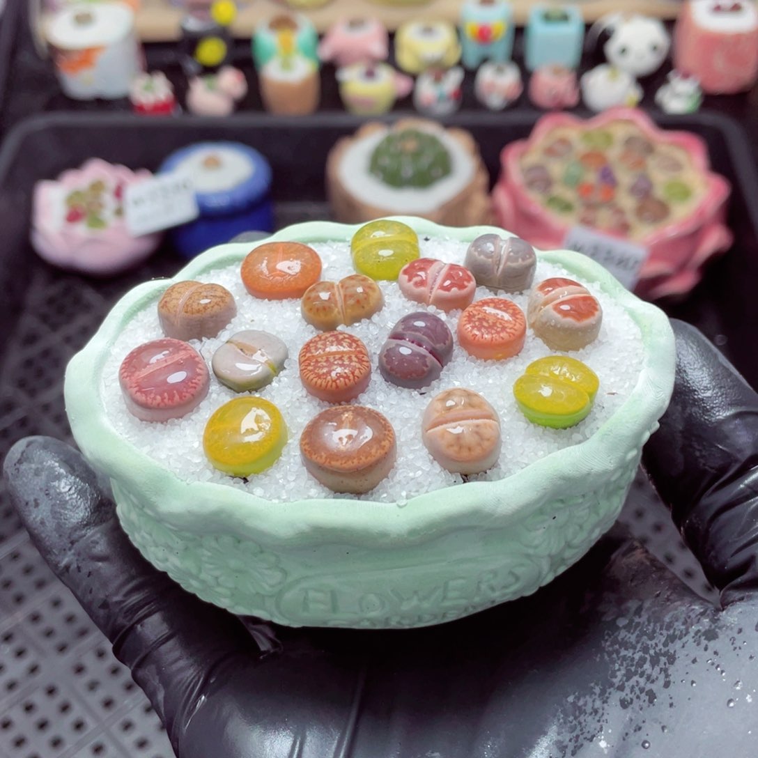 w3341--带盆土发货，零下地区拍保温箱