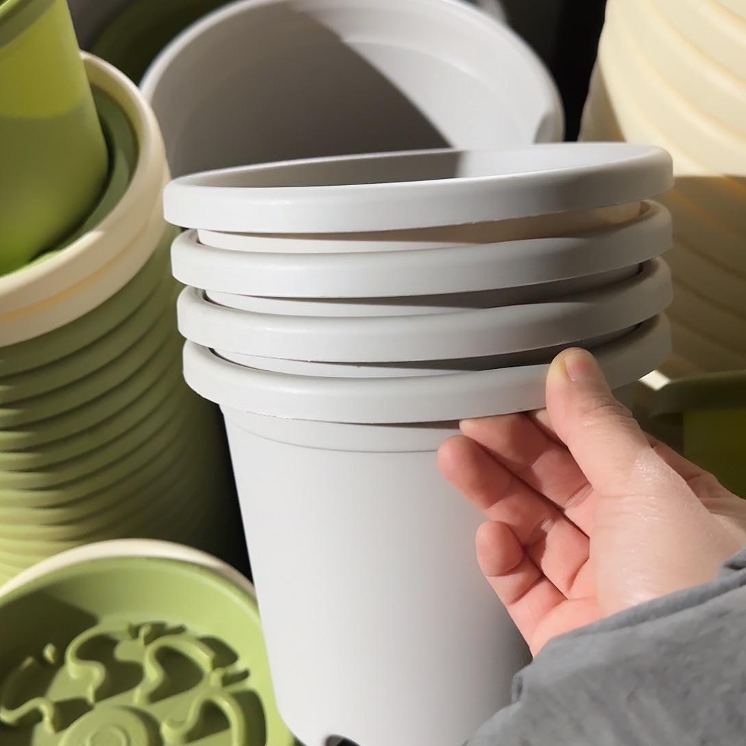 树脂四季2号无托12个灰白