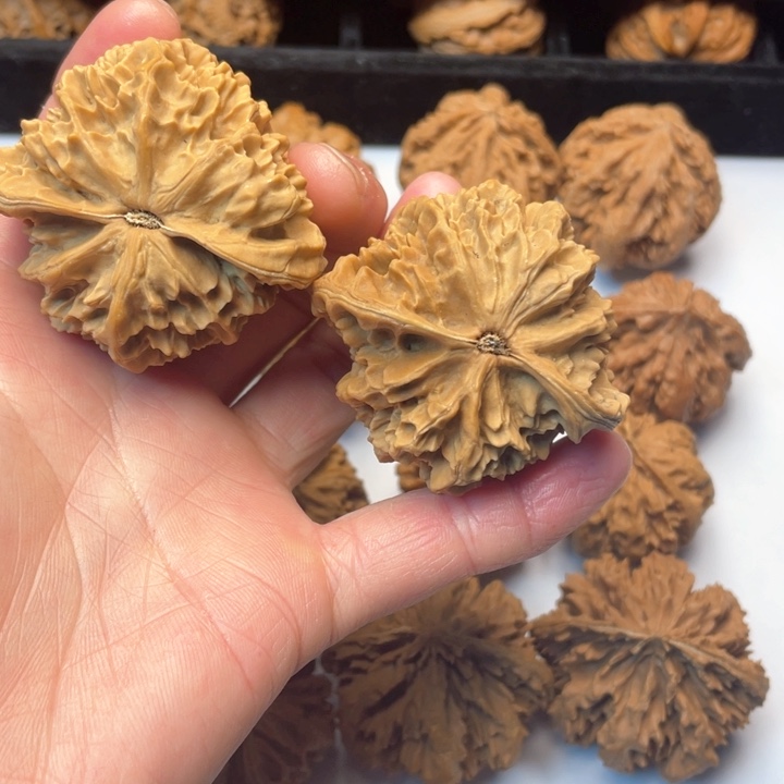 文玩核桃把件宁**远文玩城的小伙伴